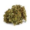 Buy Ghost Tran Haze