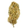 order Jack Herer online