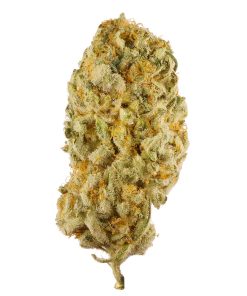 order Jack Herer online