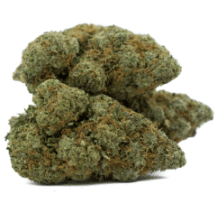 super lemon haze strain