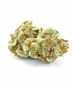 Order Garlic Breath online