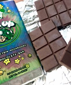 chocolate mushroom bars