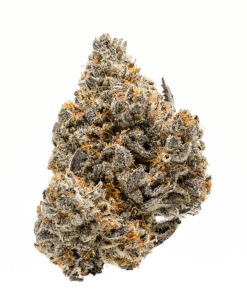 biscotti mintz strain